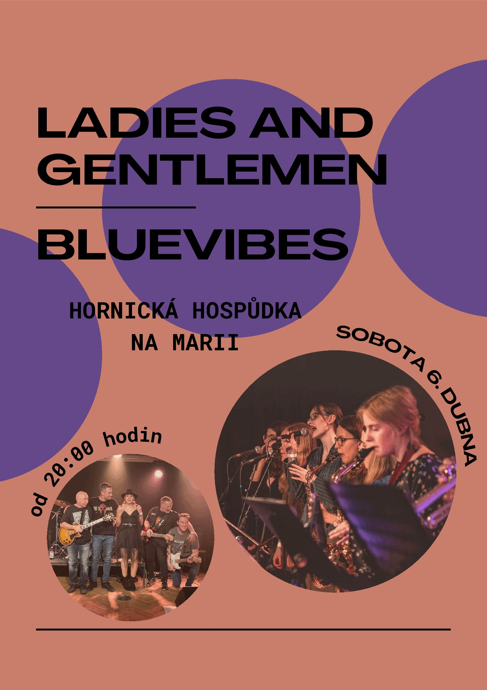 Ladies and Gentlemen, Bluevibes - koncert