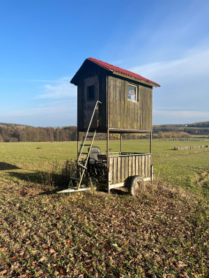 628050901 - 1493284476130078 - 7385953140493612378 - n