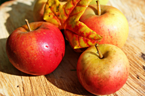 Apple - 496977 - 1920