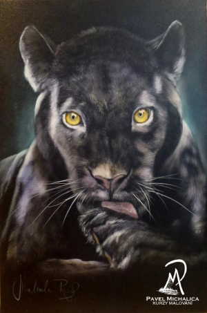 Cerny - panter Cerny - panter