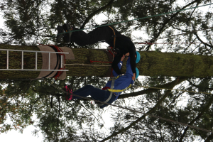 IMG - 2194