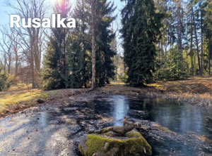 Jezirko - Rusalka Jezirko - Rusalka