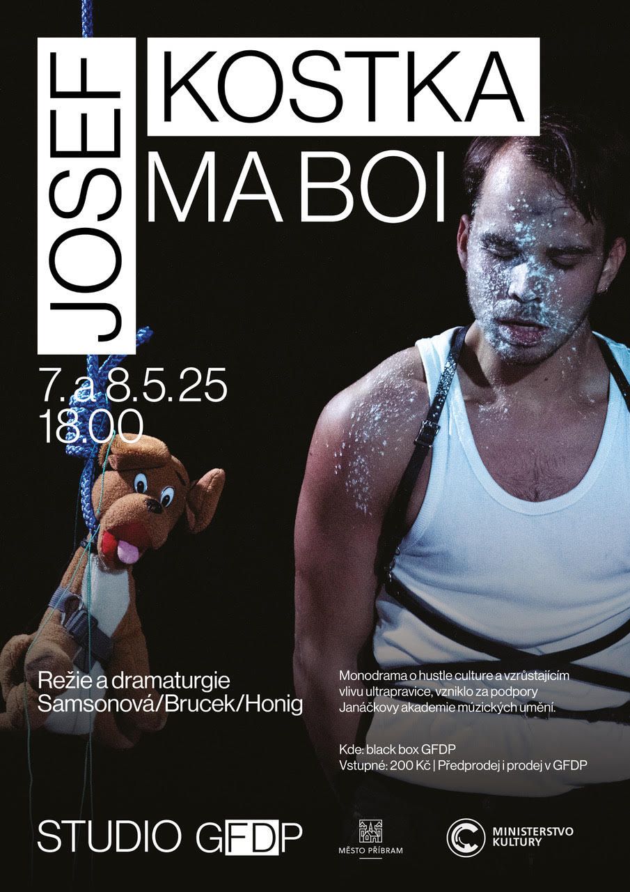 Ma boi plakat