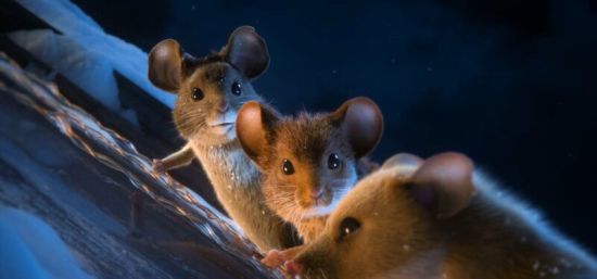 Myši v akci: Vánoční past