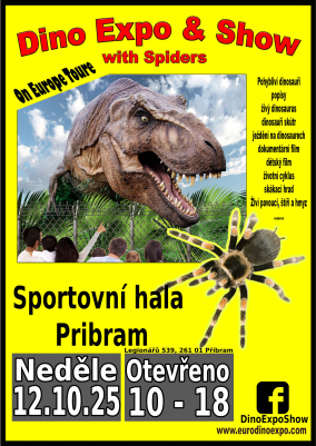 Dino Expo & Show - obrázek 