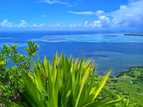 Mauricius aneb pekelná jízda tropickým rájem  - obrázek 