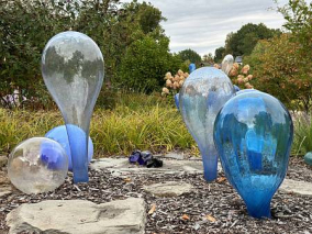 Krásy Česka: Novoborsko - obrázek 