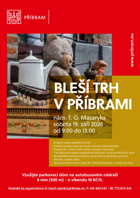 Bleší trh - obrázek 