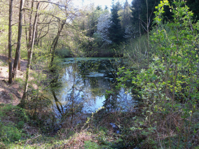 Pochod pro mozek  - obrázek 