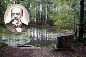 Dvořákova Vysoká - obrázek 