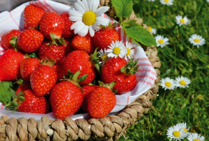 Strawberries - 5227868 - 1920