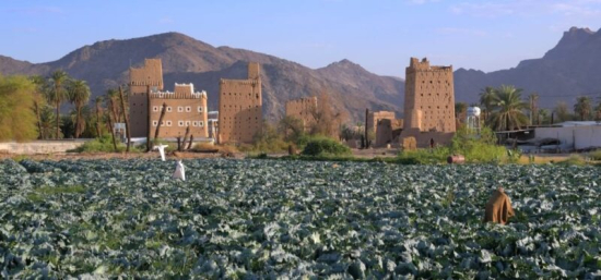 Tajemný jih Saúdské