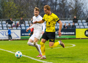Titulka - vlasim - jaro - 2026