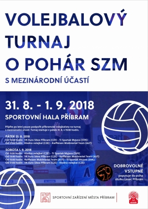 Volejbalový turnaj