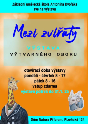 Výstava plakát