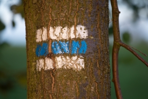 Značka na stromě 1